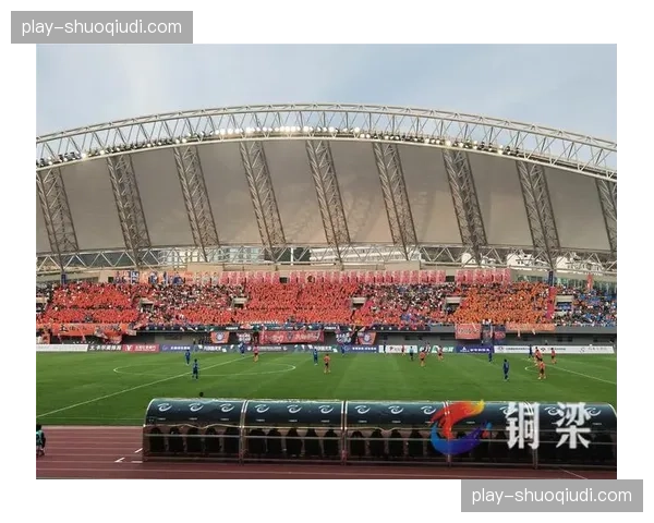 重庆铜梁龙启用双主场：龙兴足球场与铜梁龙体育场各安排比赛