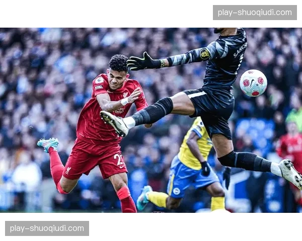 深度复盘：从数据看布莱顿如何用“以我为主”的传控逼平曼城